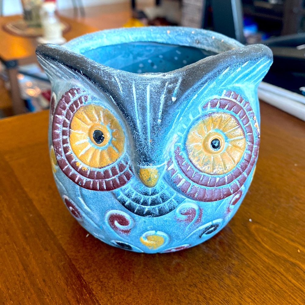 Ute owl ceramic bowl